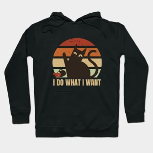 I Do What I Want | Cat Spilled Coffee Hoodie